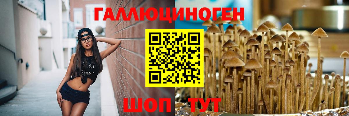 Псилоцибиновые грибы Magic Shrooms  где продают   Галлюциногенные грибы Psilocybine cubensis  Железноводск  Вход с VPN 